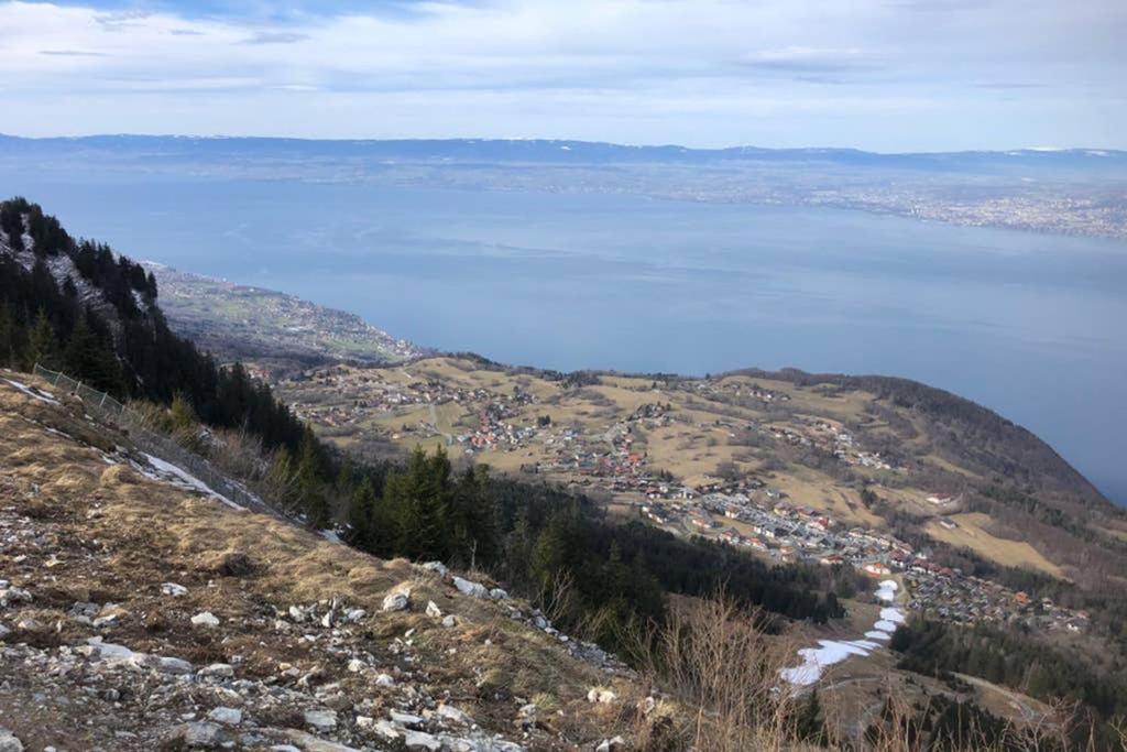 Studio Agreable Et Cosy Avec Vue Sur Les Memises Thollon-les-Memises Екстер'єр фото